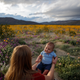 Image for article titled California’s colorful super blooms, in pictures